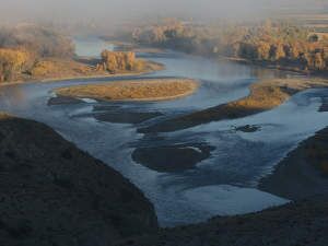 Yellowstone River 3