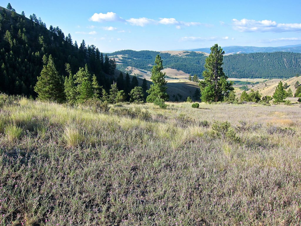 hunting ranches for sale