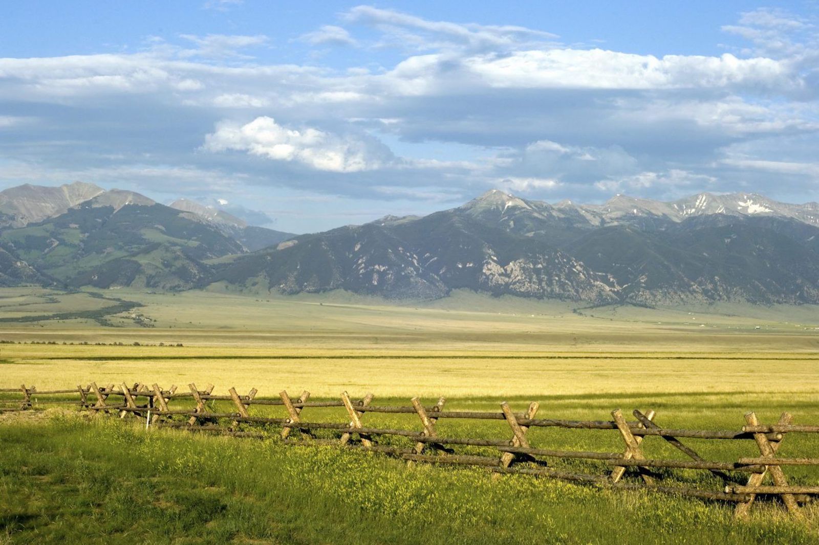 Montana