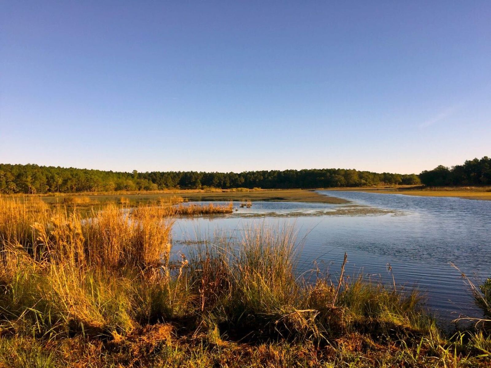 South Carolina