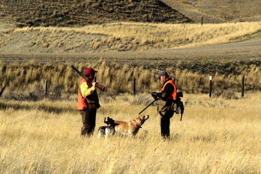 Montana Ranch Buyer’s Guide 6