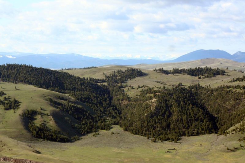 Montana Ranch Buyer’s Guide