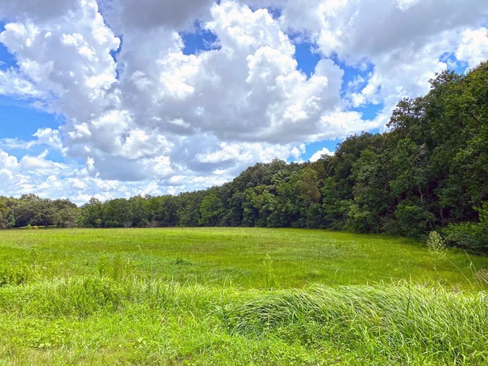 Alabama Properties for Sale Live Water Properties Ranches for Sale in Wyoming, Montana