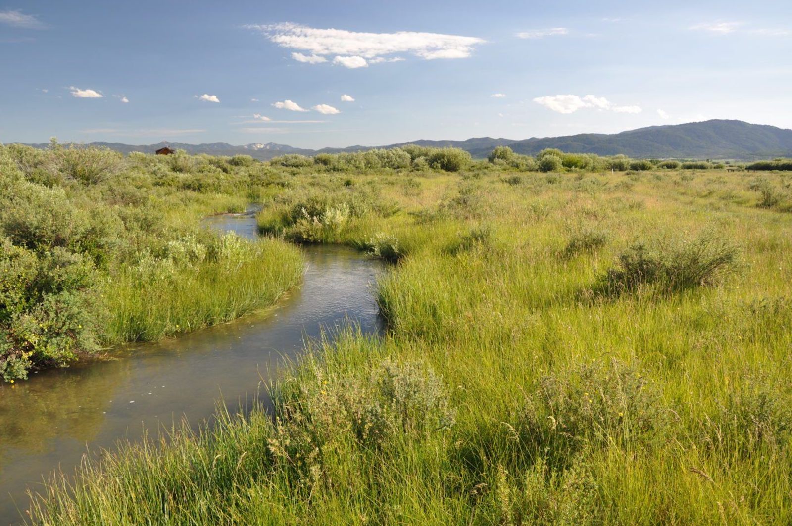 Idaho