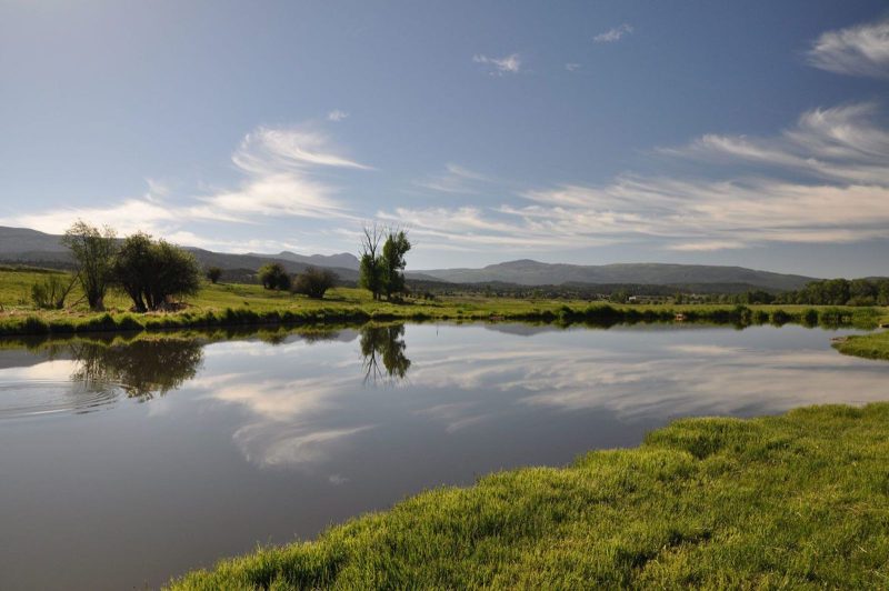 New Mexico Properties