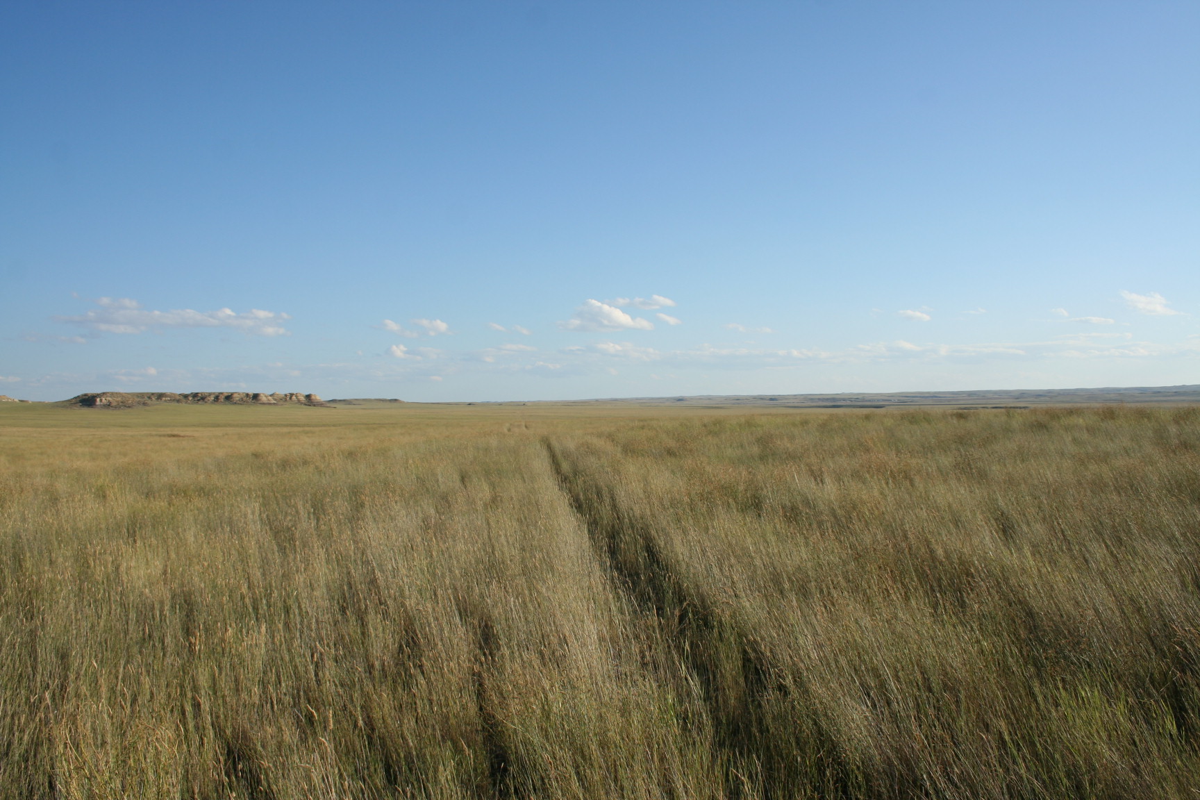  Angela Farm – Western Parcel Angela, Montana