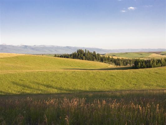 Badger Creek Meadows Tetonia, ID