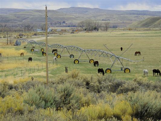 Beaver Creek Ranch Shell, WY