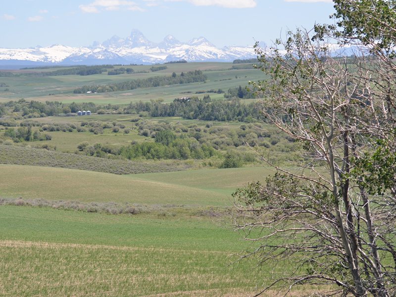 Conant Creek Overlook Lamont, ID
