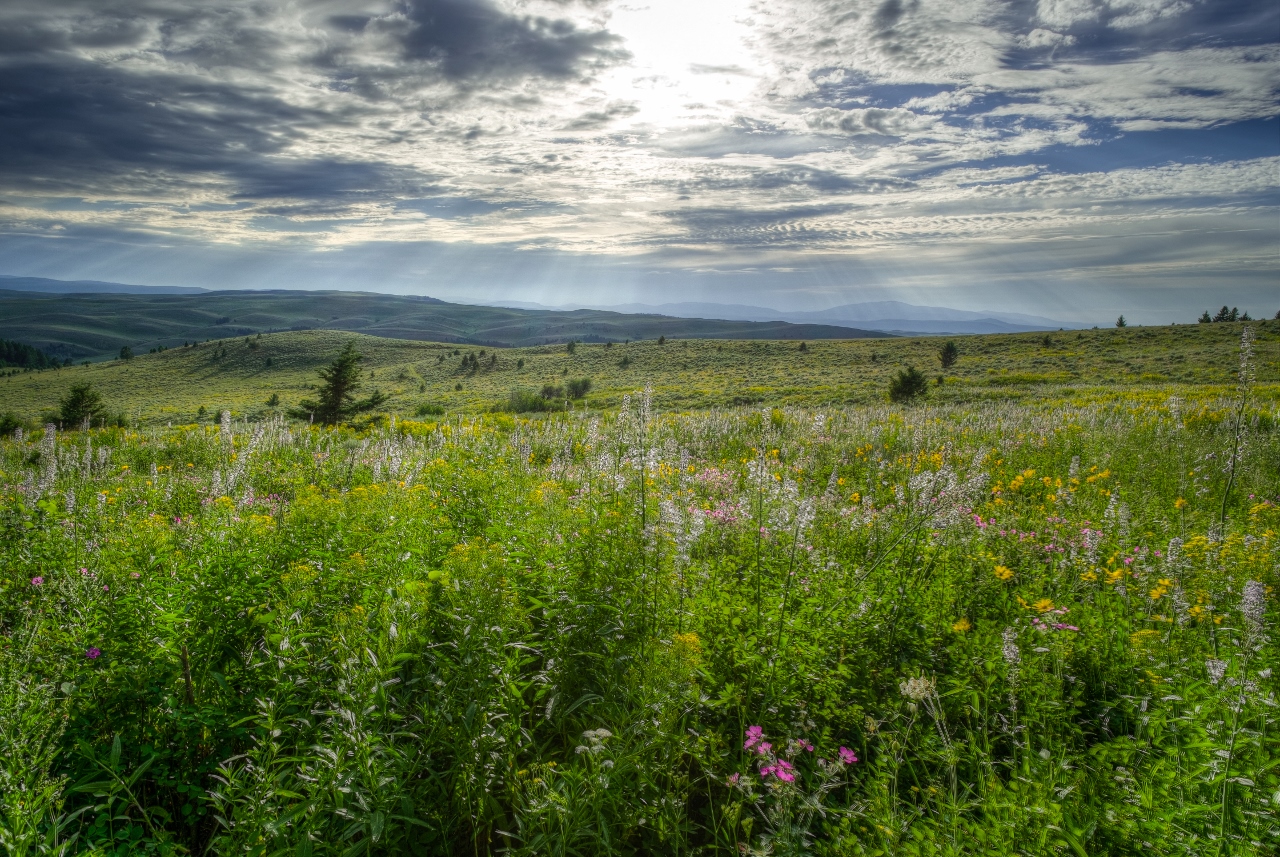 Diamond B Ranch Wilsall, MT