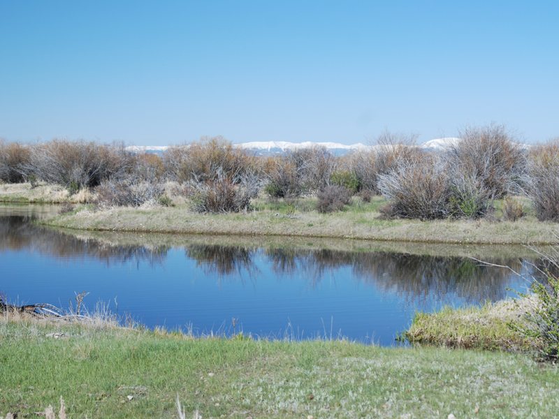 Faler Creek Ranch Daniel, WY