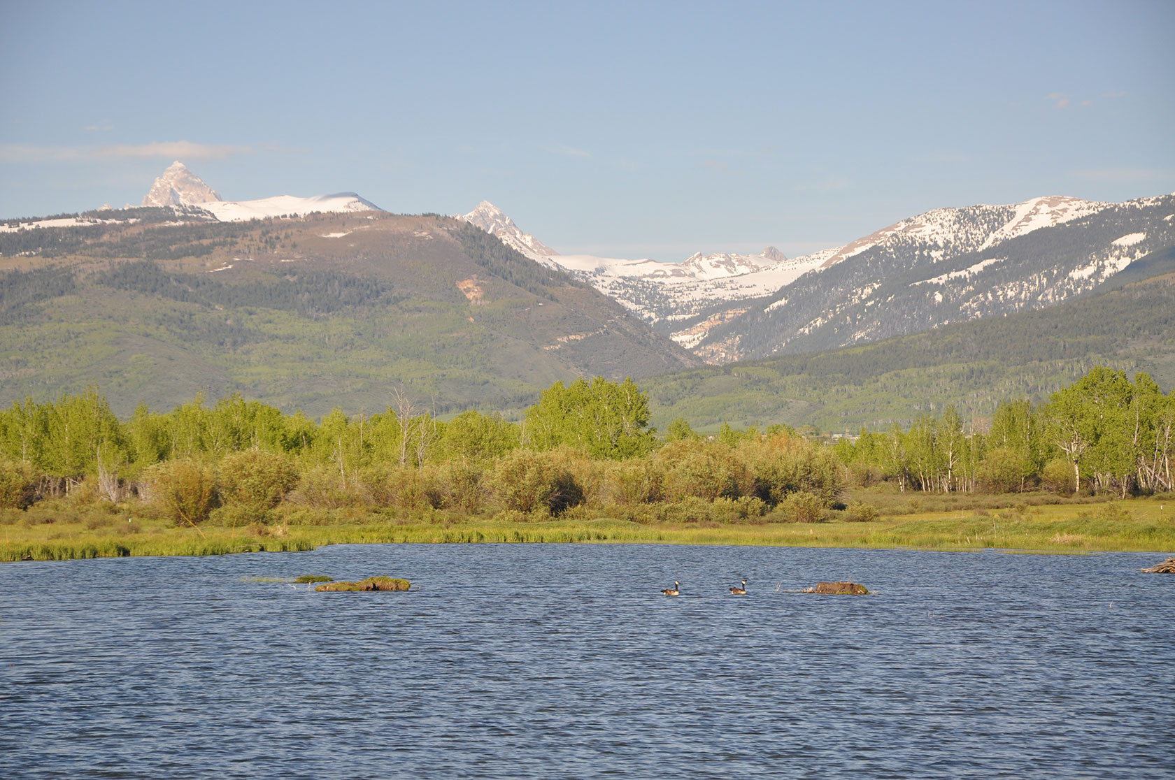 Foster Slough Sanctuary Victor, Idaho 