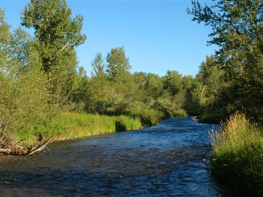 Gallatin River Sporting Paradise Bozeman, MT
