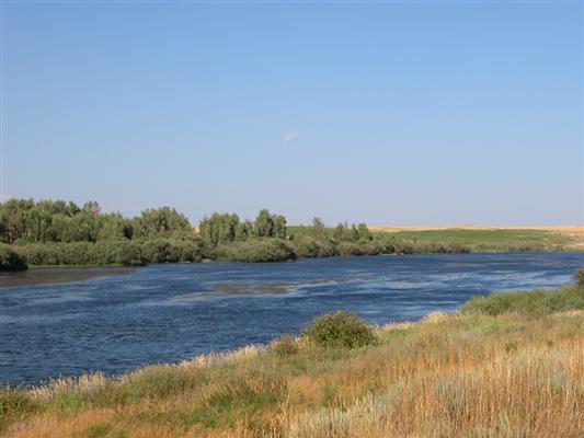 Gardner Ranch on the Teton Teton, ID