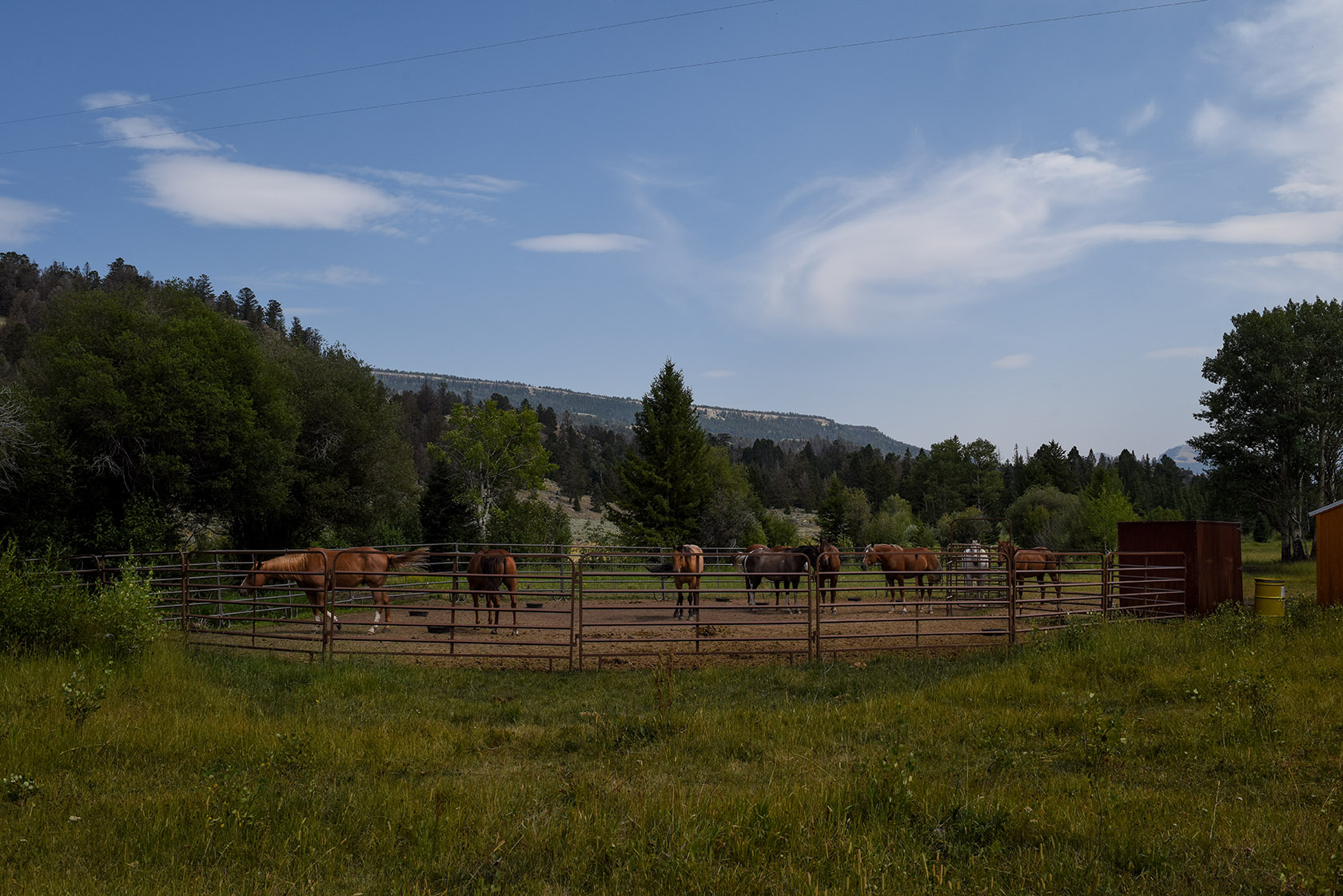 Featured Properties