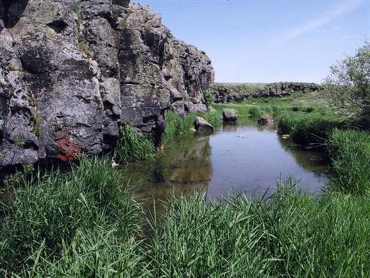 Grays Lake Outlet Ranch Wayan, ID