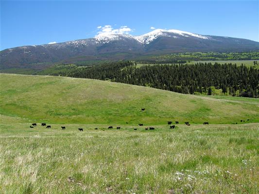 Gurnett Creek Ranch Townsend, MT