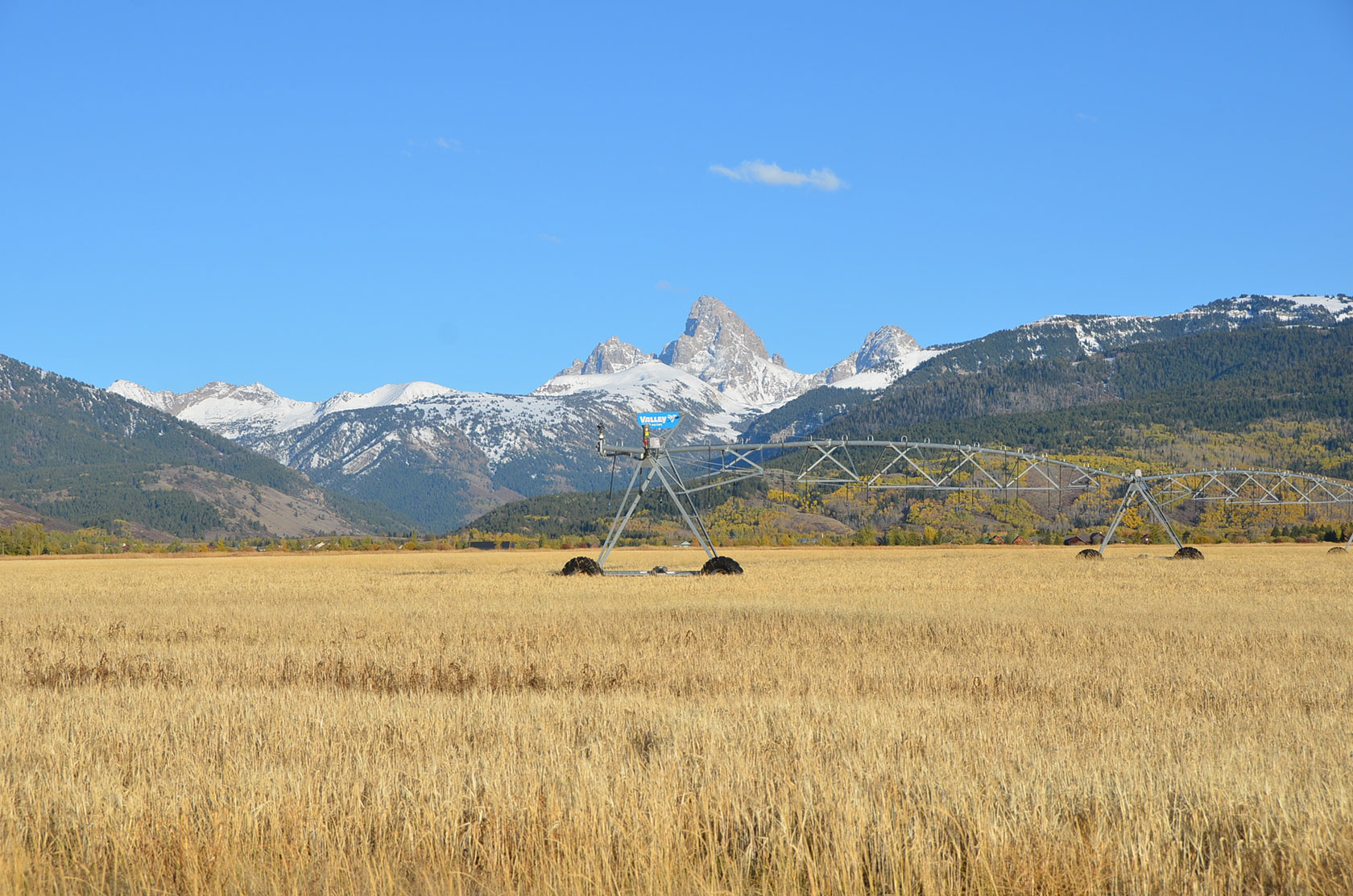 Hasting’s Farm Driggs, Idaho