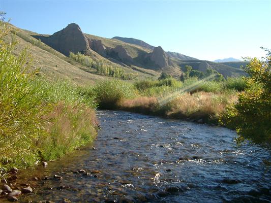 Horse Creek Ranch Hoback Junction, WY
