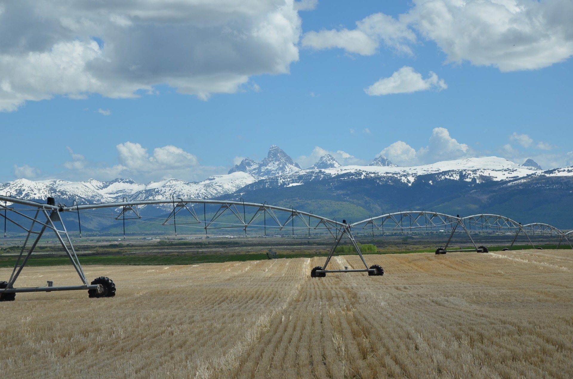 Horseshoe Canyon Farms Driggs, Idaho