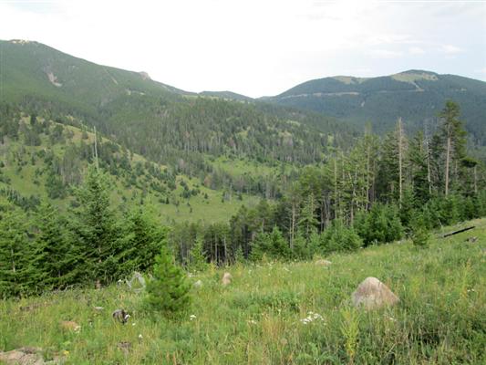 Judith Mountain Hunting Ranch Lewistown, MT