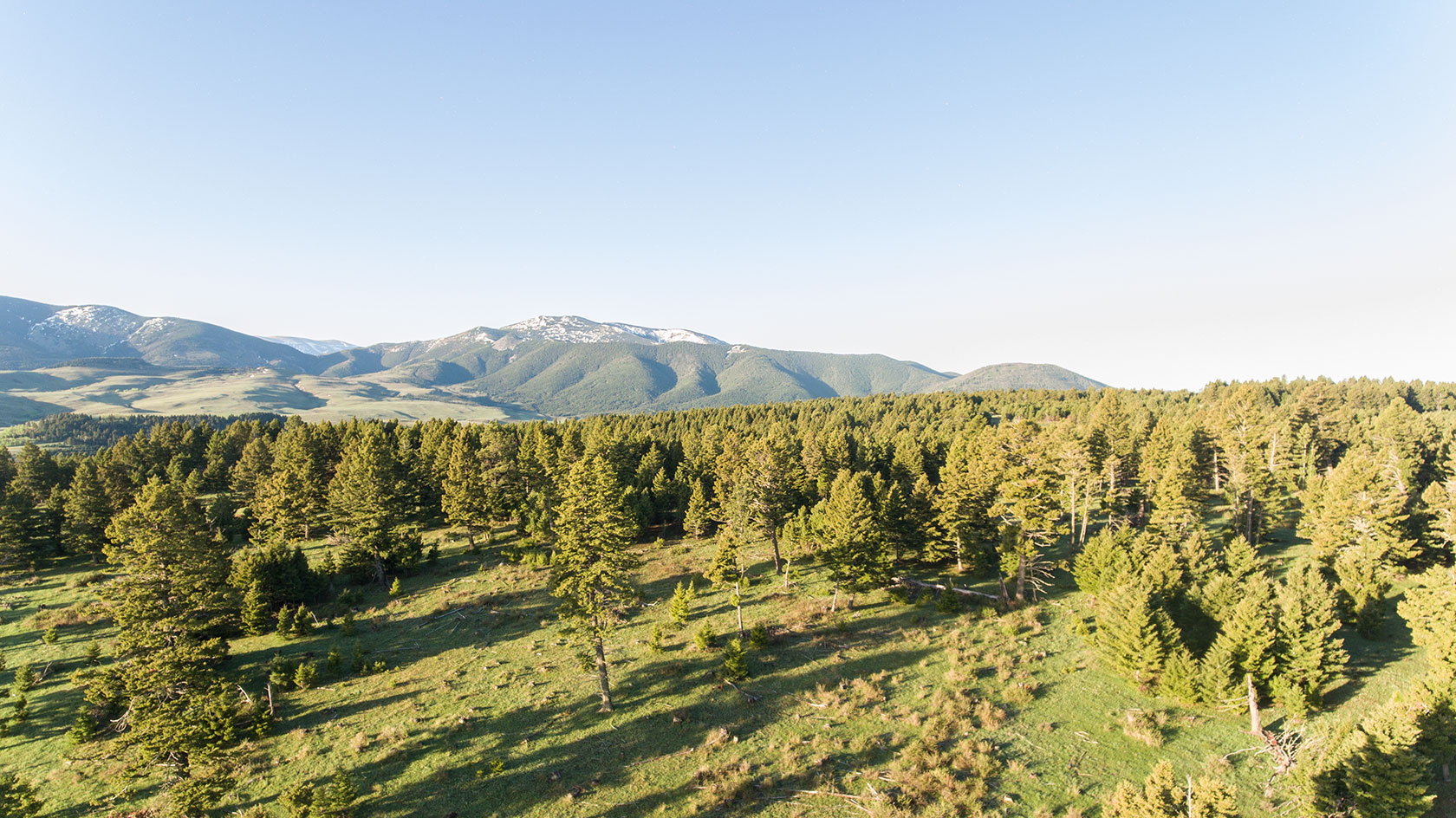 Limestone Butte Hunting Ranch Raynesford, Montana