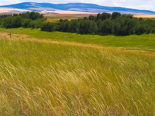  Linderman Ranch Madison/Teton Counties, ID