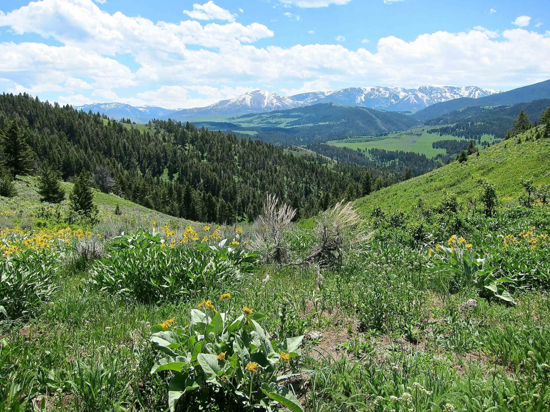 Little Mission Creek Ranch Livingston, MT