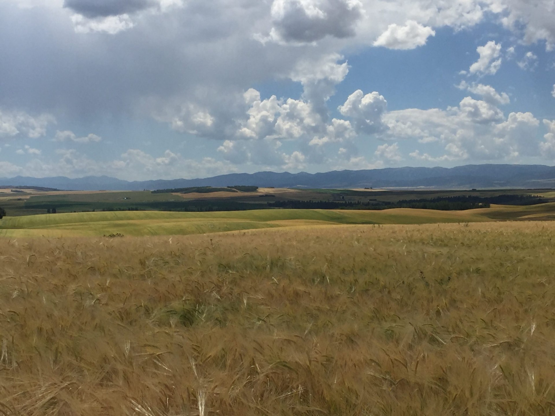 Litton Farm Parcel Tetonia, ID