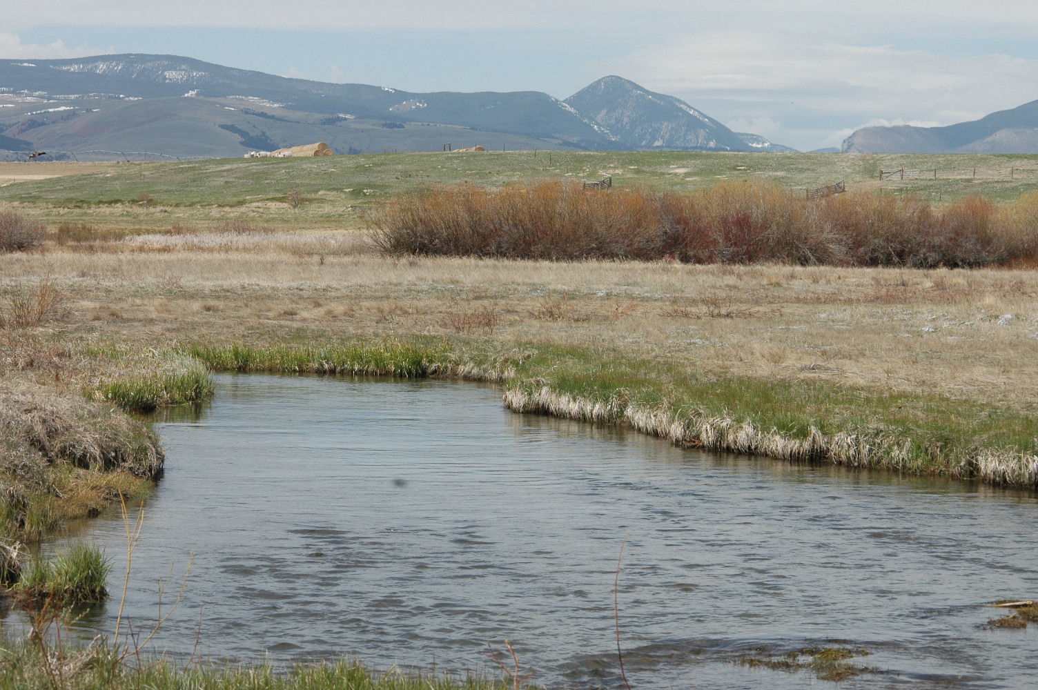 Lost Creek Ranch Deer Lodge, MT