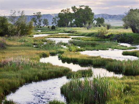 Madison Spring Creek Ranch Three Forks, MT