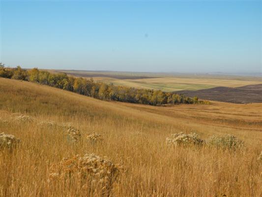 Martineau Farm Newdale, ID