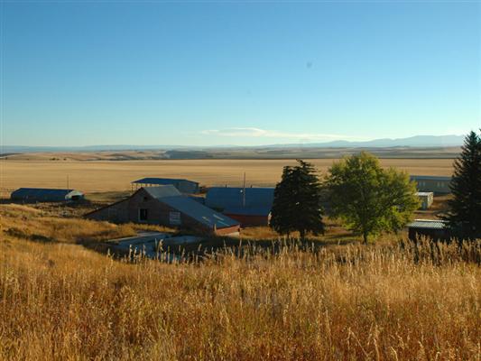 Neeley Farm Newdale, ID
