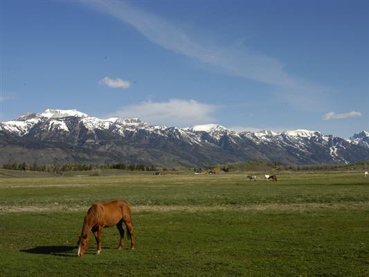 Puzzleface Ranch Jackson, WY