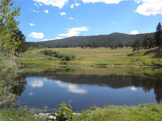 Rist Canyon Ranch Bellvue, CO