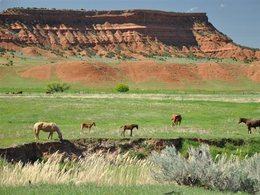 Rome Hill Ranch Ten Sleep, WY