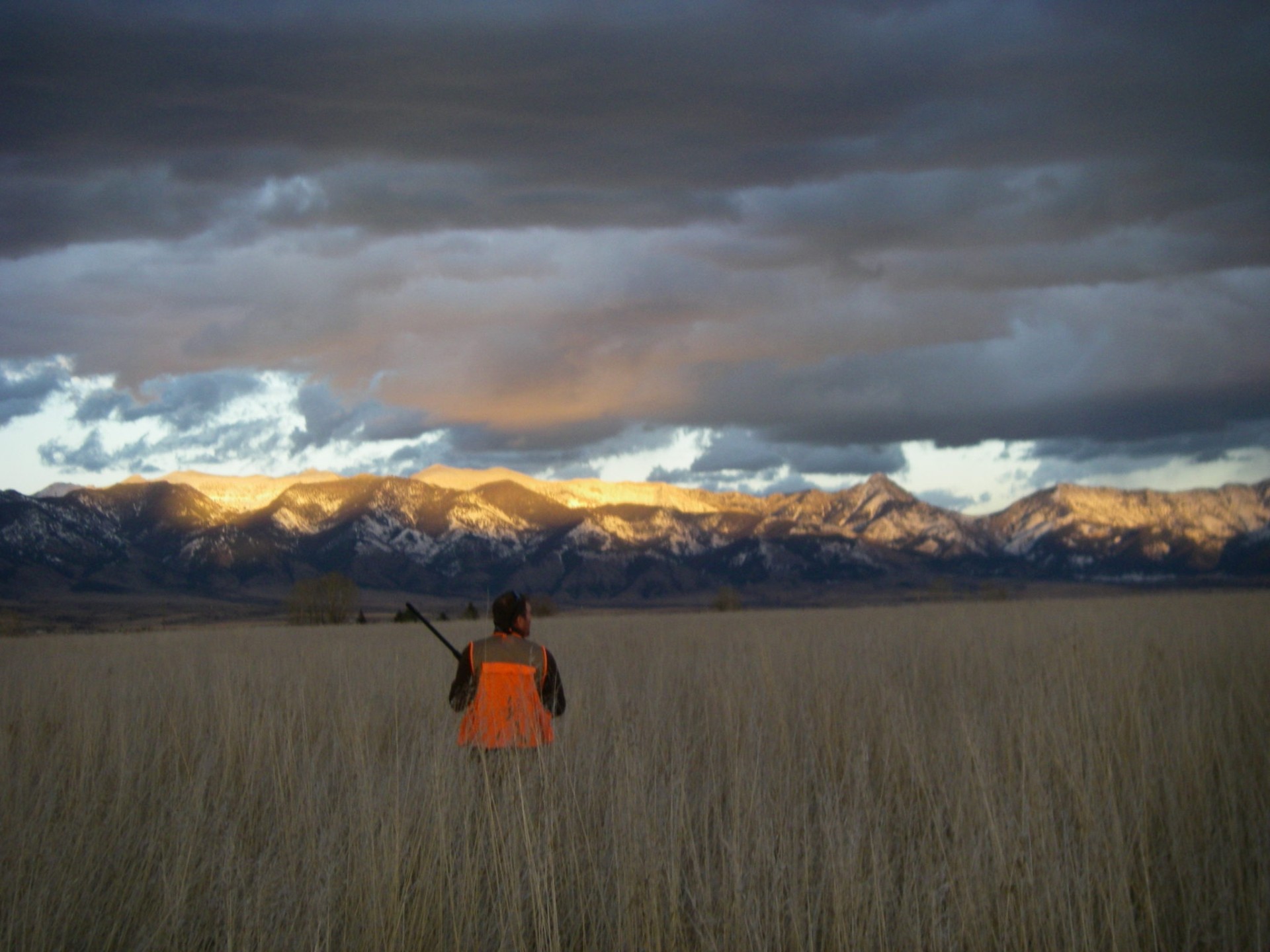 Running Colter South Belgrade, Montana