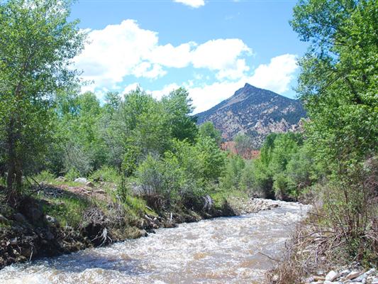 Featured Properties