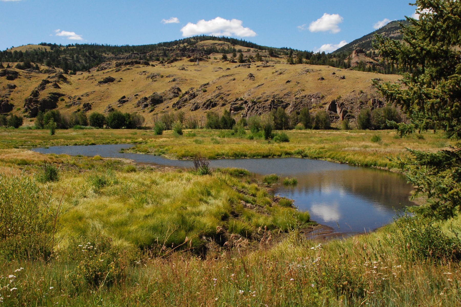  Sleeping Dog Ranch Lake City, Colorado 