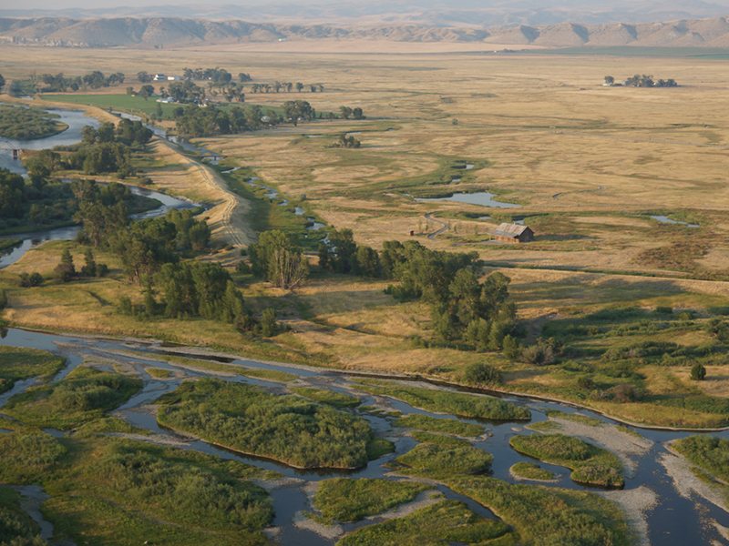 Spring Creeks on the Madison Three Forks, MT