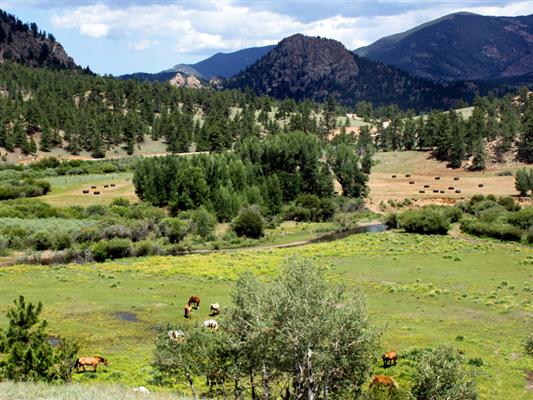 Tarryall River Ranch Lake George, CO