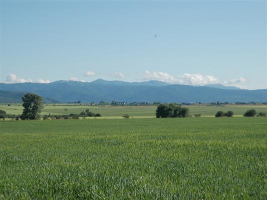 Teton Farm Parcel Driggs, ID