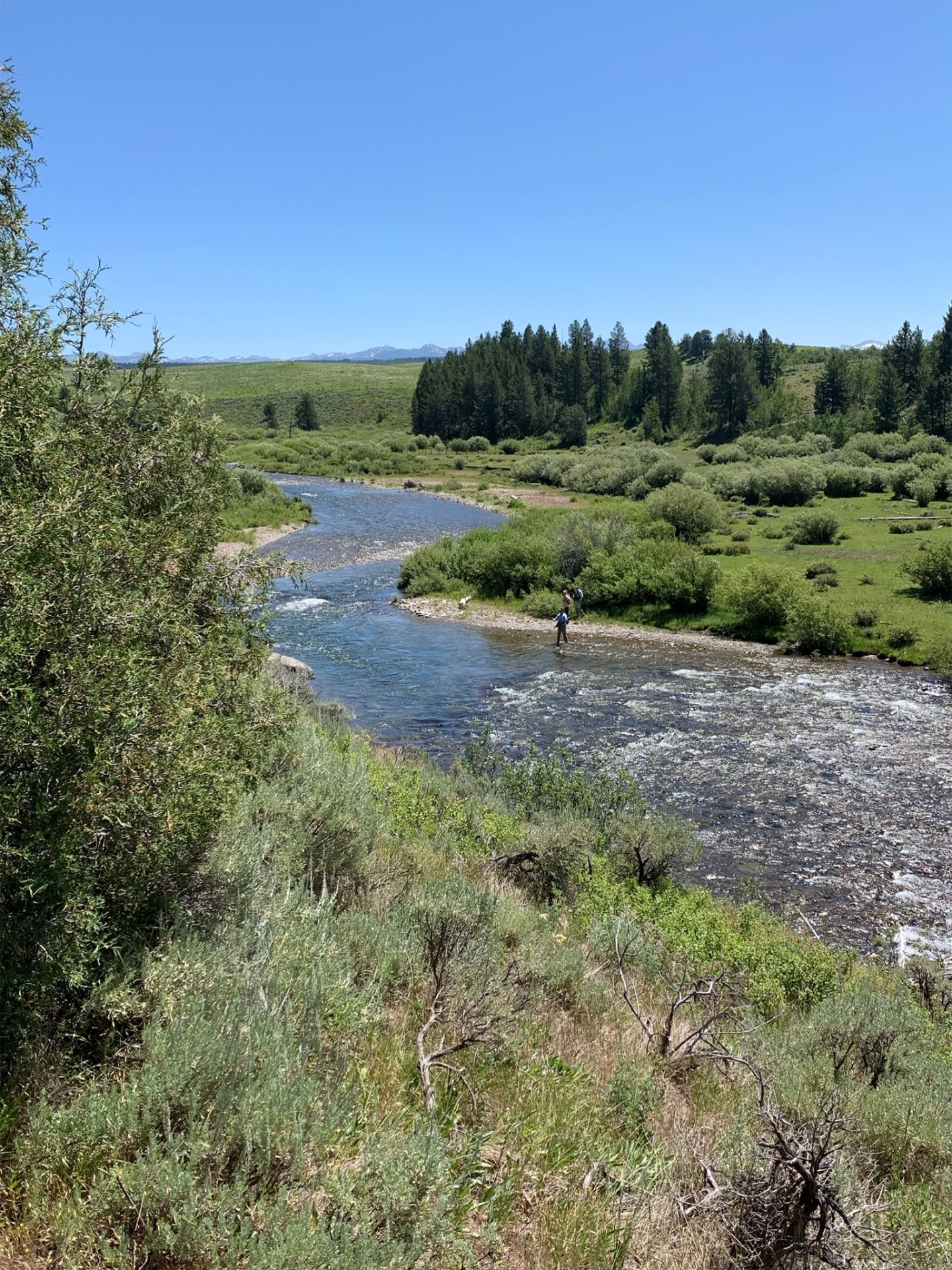 Teton North Fork Farm Lamont, Idaho
