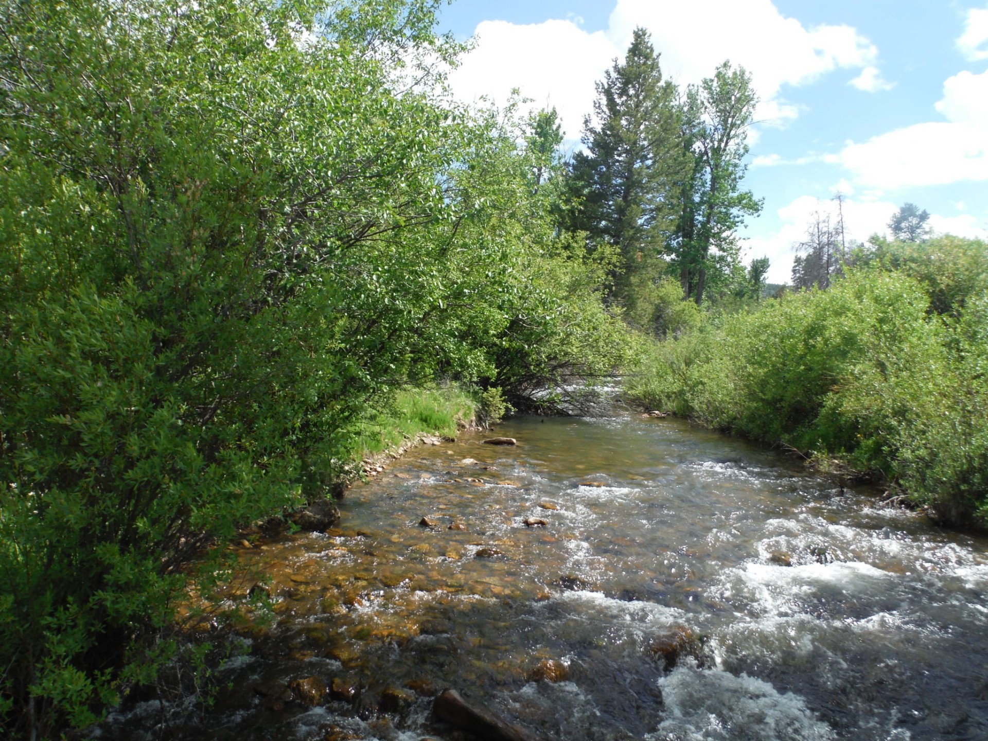 Tillinghast Creek Ranch in Belt Park Belt, Montana 