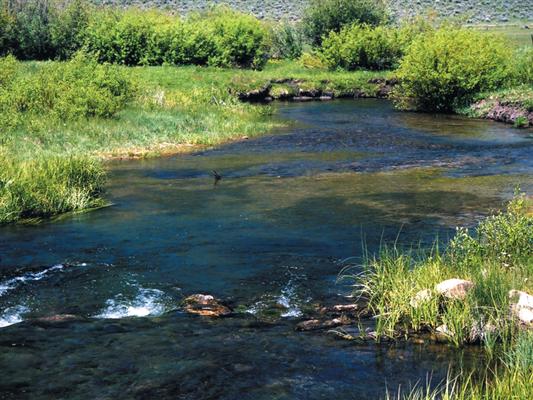 Twin Creek Ranch – ID Caribou County, ID