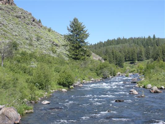Two Rivers Ranch Warm River, ID