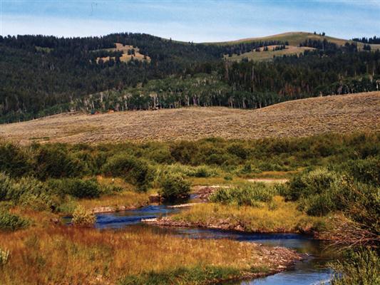 Upper Cottonwood Creek Ranch Daniel, WY