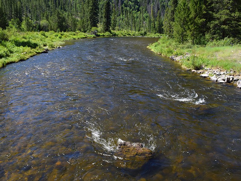 Walden Hollow on the Colorado River Granby, Colorado