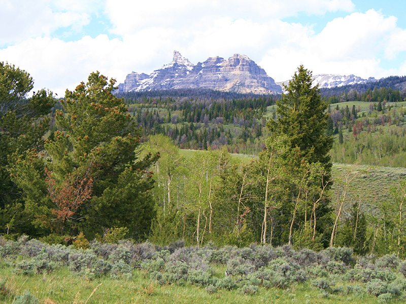Washakie Wilderness Ranch Dubois, Wyoming