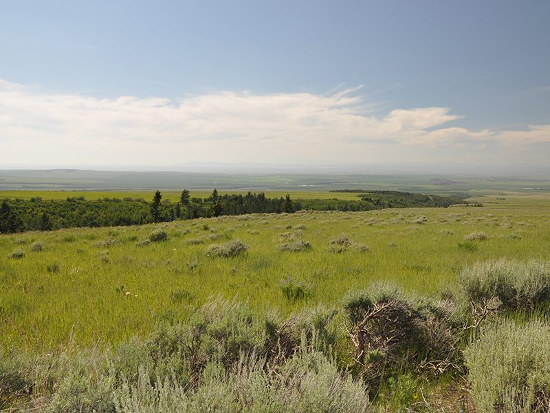  West Rim Ranch Tetonia, Idaho